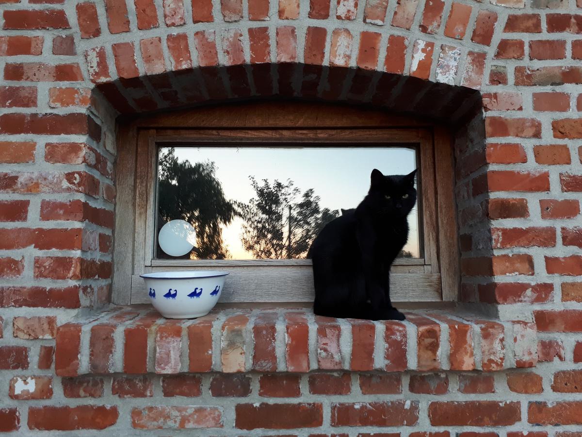 B&B De Linde Wijtschate Εξωτερικό φωτογραφία